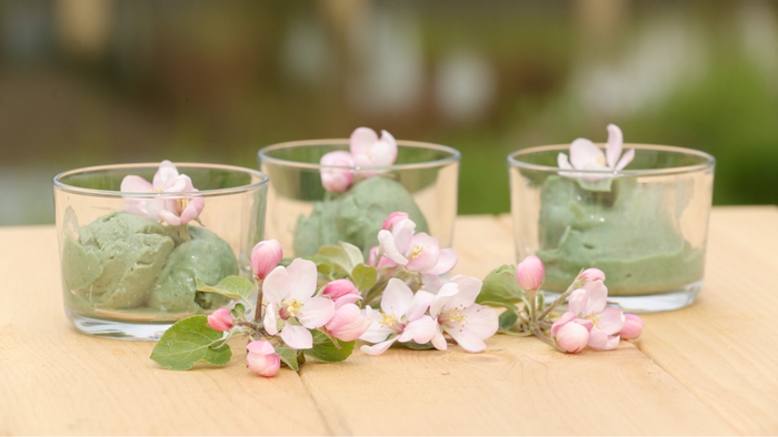 Домашний сорбет - рецепт