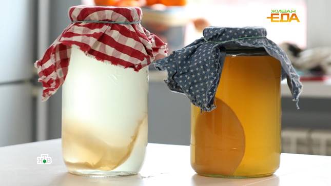 Ферментированные напитки: есть ли от них польза