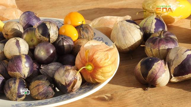 Ягоды физалиса: какими целительными свойствами обладают эти плоды?