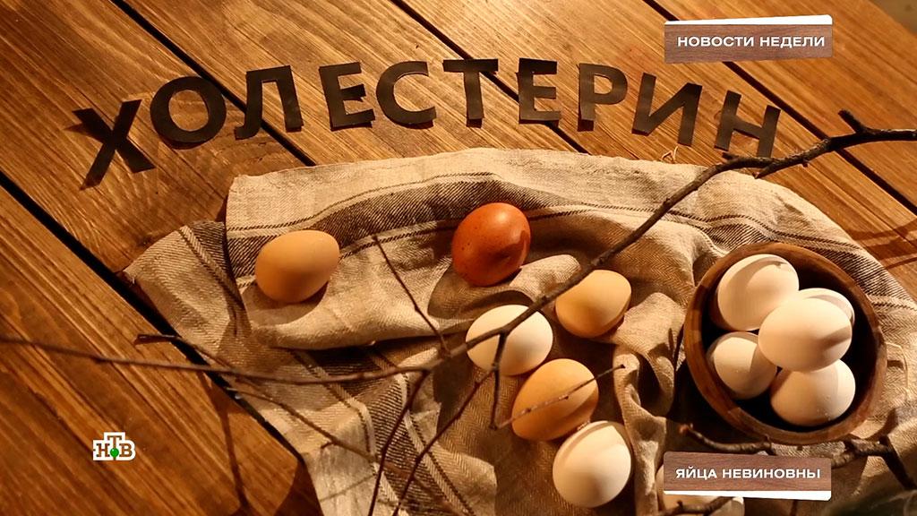 Куриные яйца больше не вредны, изобретено противоядие от острой пищи и чемпионат по поросячьему визгу