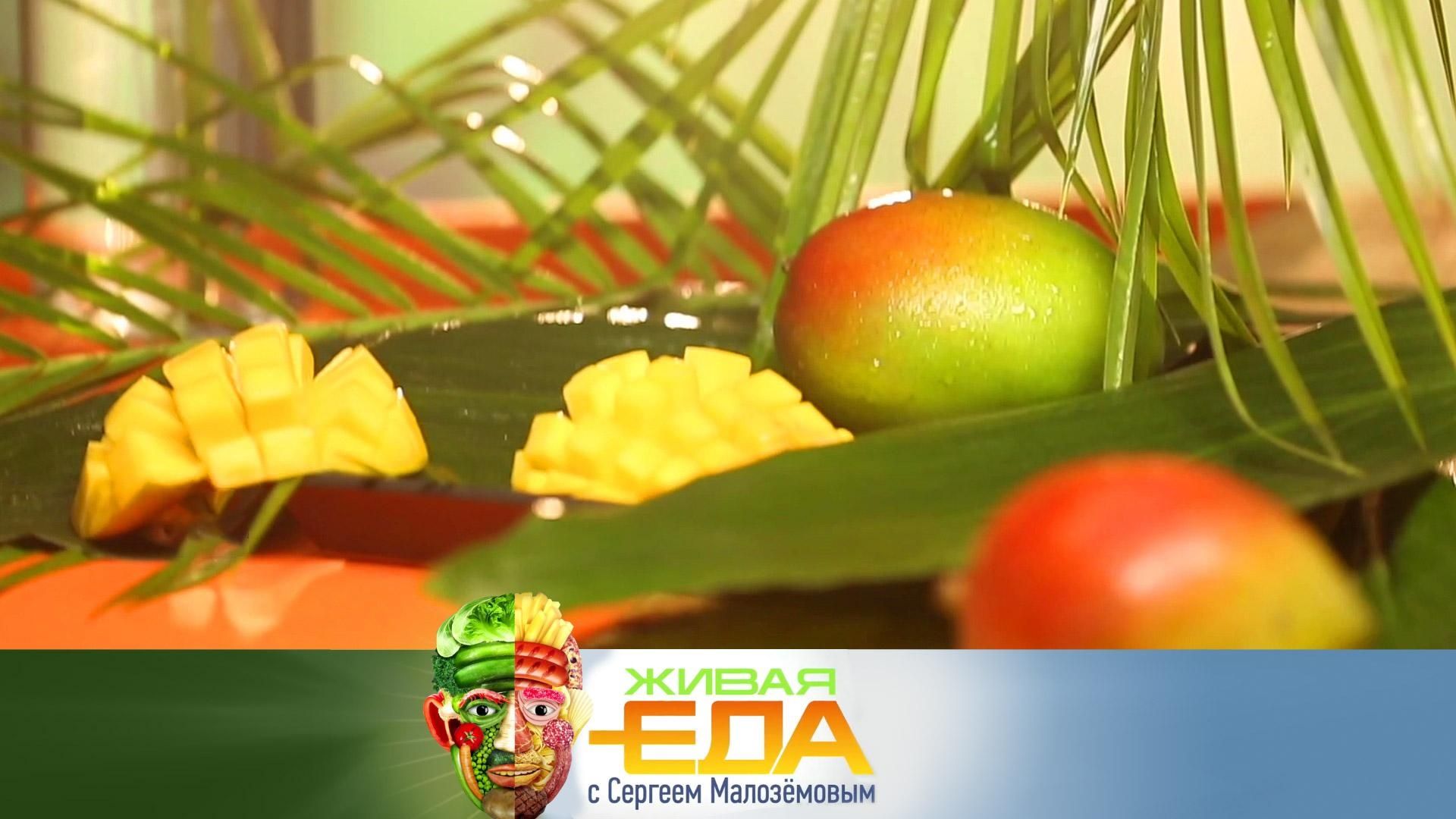 «Еда» от 8 ноября 2025: все секреты манго, рецепт запечённого йогурта, проверка на вкус дорогих и дешёвых пельменей